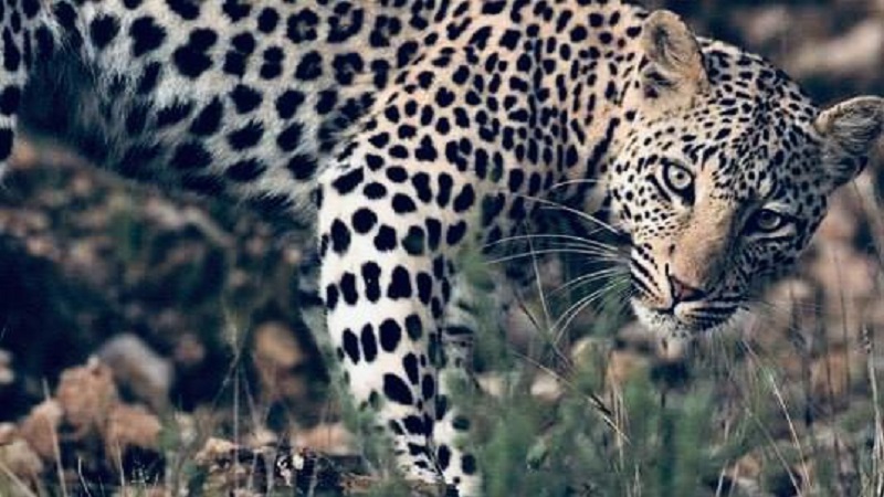 serengeti national park