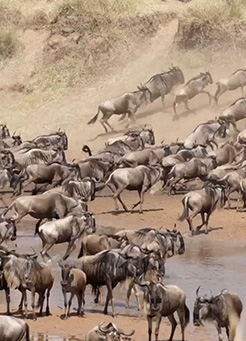 6-Day Tanzania Safari Itinerary