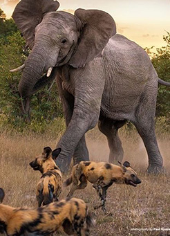 3 big five