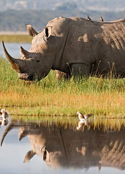 3 big five 3 big five