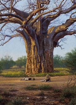 6-Day Tanzania Safari Itinerary 6-Day Tanzania Safari Itinerary