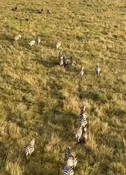 5-Day Tanzania Safari Itinerary