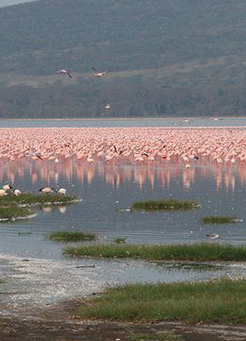 4 days Tarangire Serengeti Ngorongoro