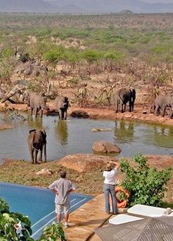 7 days Tarangire, Lake Manyara, Serengeti, and Ngorongoro 7 days Tarangire, Lake Manyara, Serengeti, and Ngorongoro